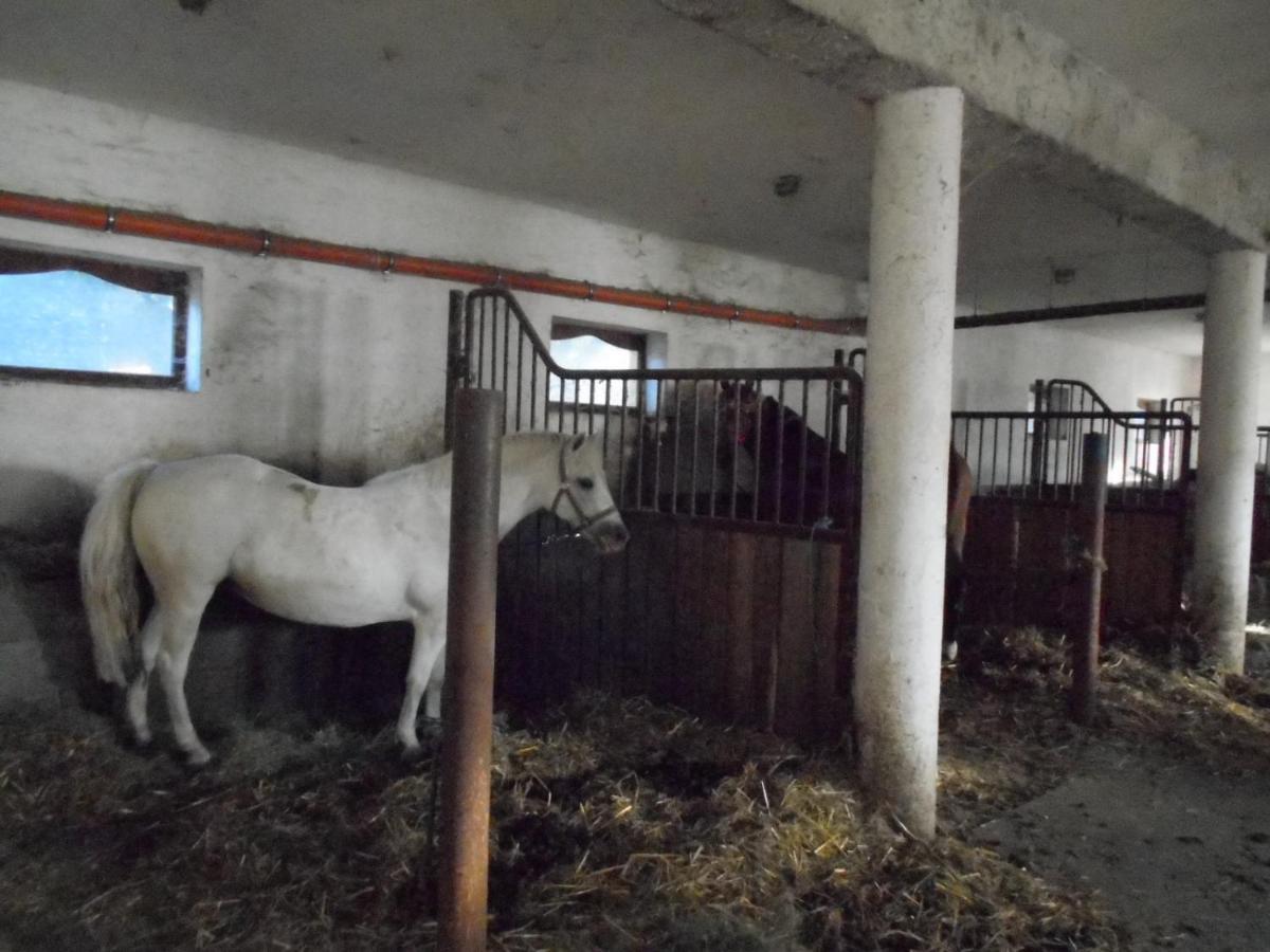 Ferienwohnung Torony Lovarda Maganszallas Kiskunfélegyháza Exterior foto